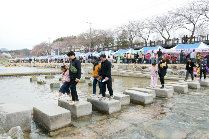 [크기변환]0407 사진자료 - 금산천 봄꽃축제 (3).JPG