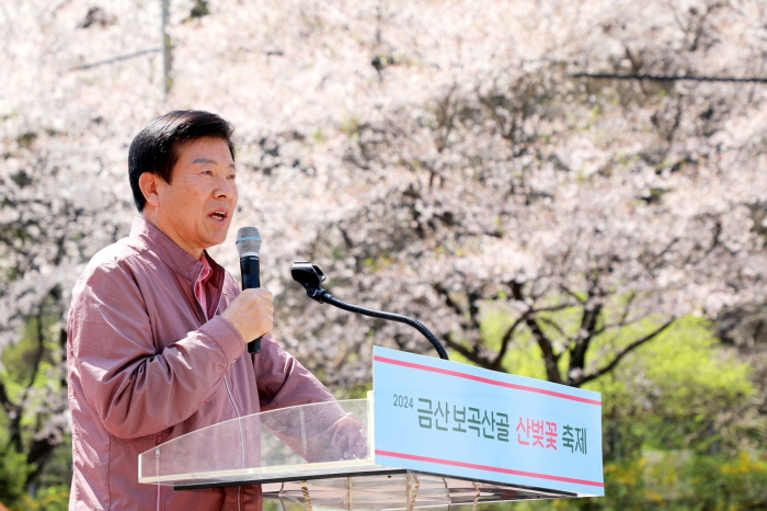 [크기변환]0410 금산군관광문화재단 - 보곡산골 산벚꽃축제 9일 간의 대장정 돌입 (1).JPG