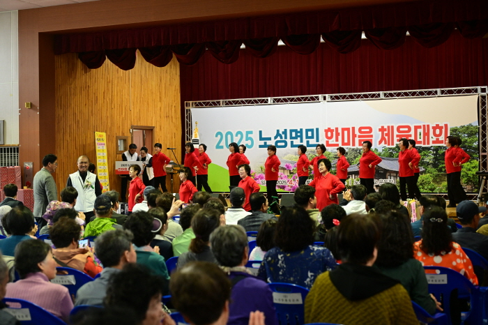 [크기변환]노성면민 한마음체육대회 (5).JPG