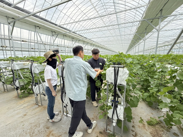 [크기변환]0123 기술지원과 - 금산군, 스마트팜 선도농가 현장실습생 모집.jpeg