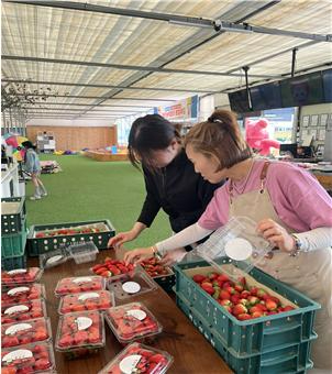 스마트팜 청년사업 교육2.jpg